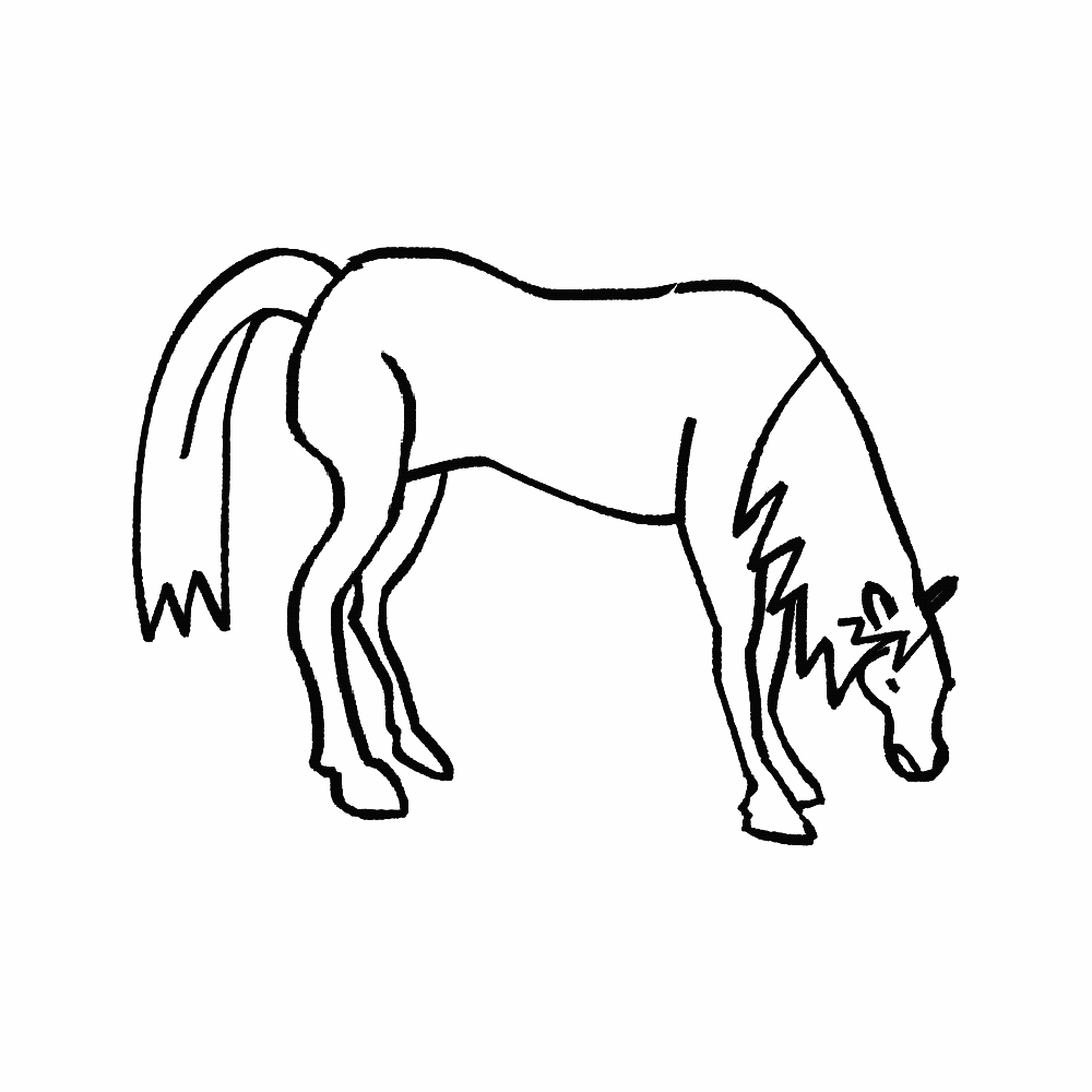 horse_shrink